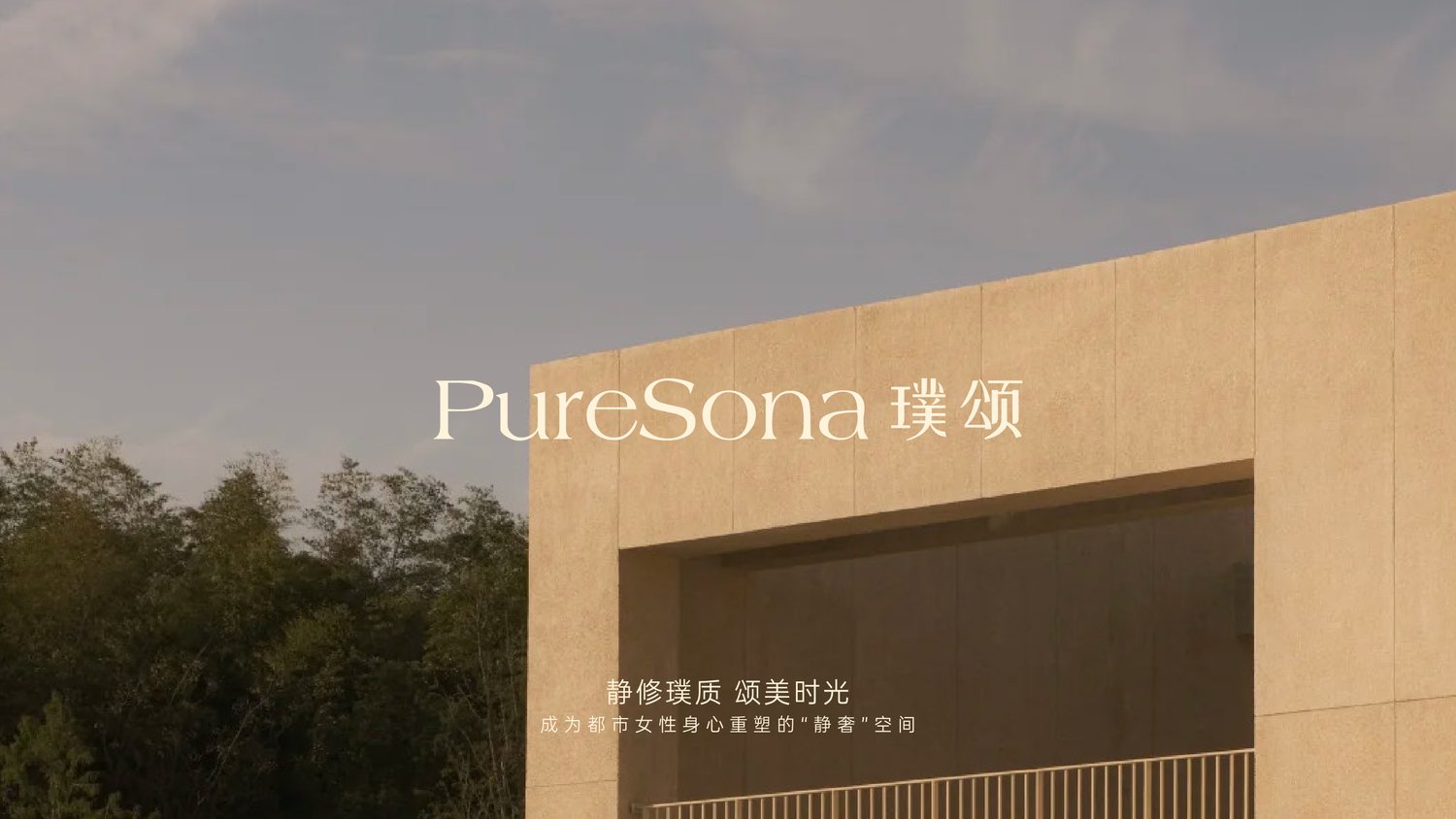 PureSona 璞颂品牌视觉